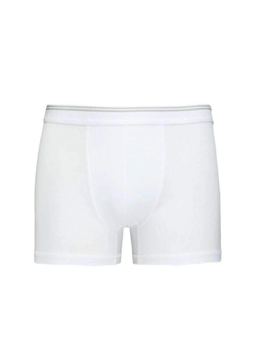 Beyaz Boxer - 1