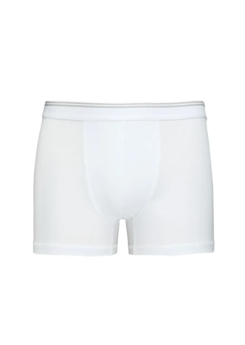 Beyaz Boxer - 1