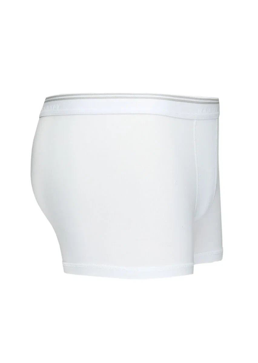 Beyaz Boxer - 2