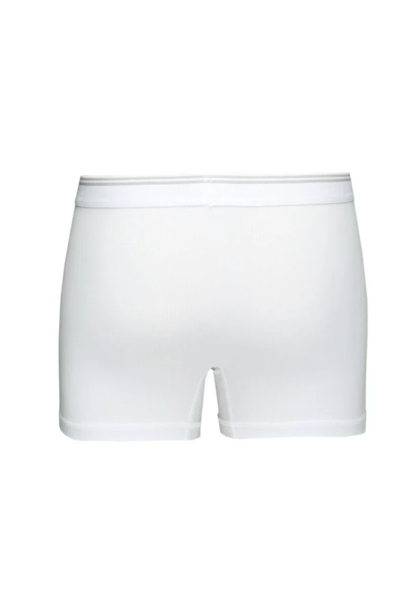 Beyaz Boxer - 3
