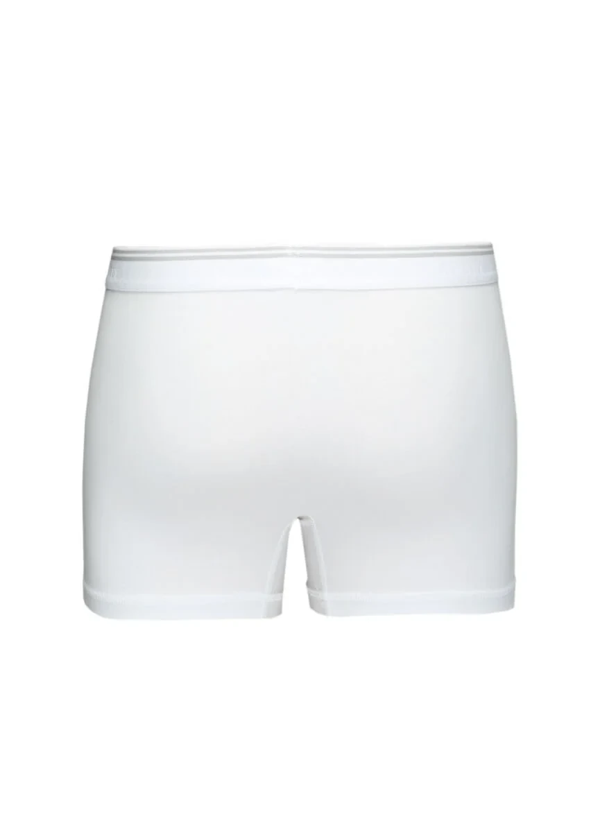 Beyaz Boxer - 3