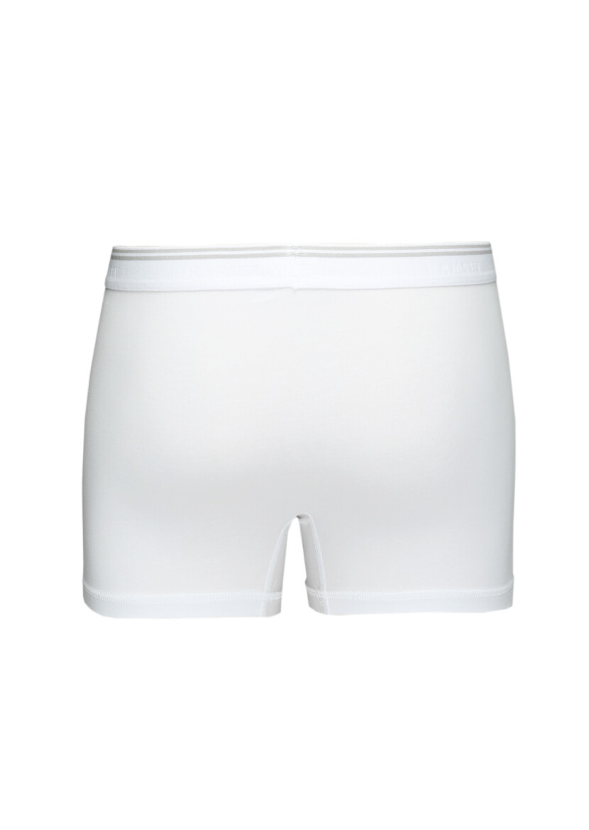 Beyaz Boxer - 3