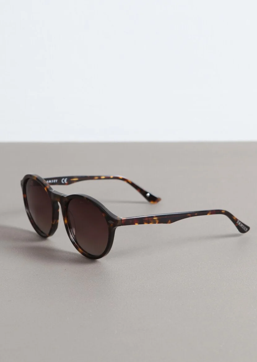 Brown Glasses 