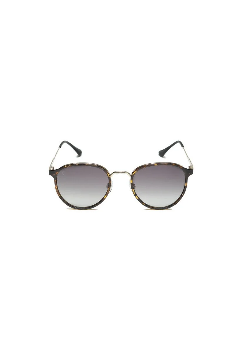 Colourful Glasses 