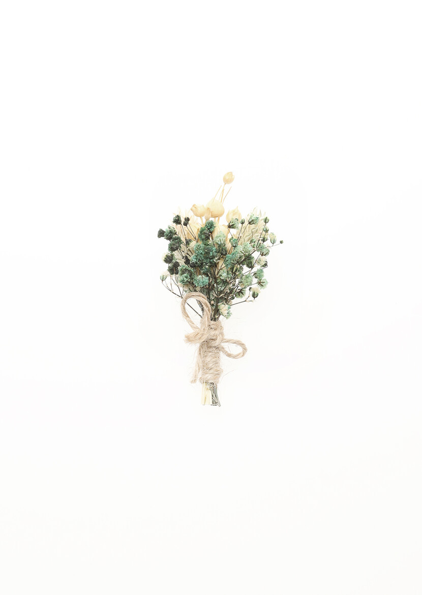 Green Collar Flower - RAMSEY