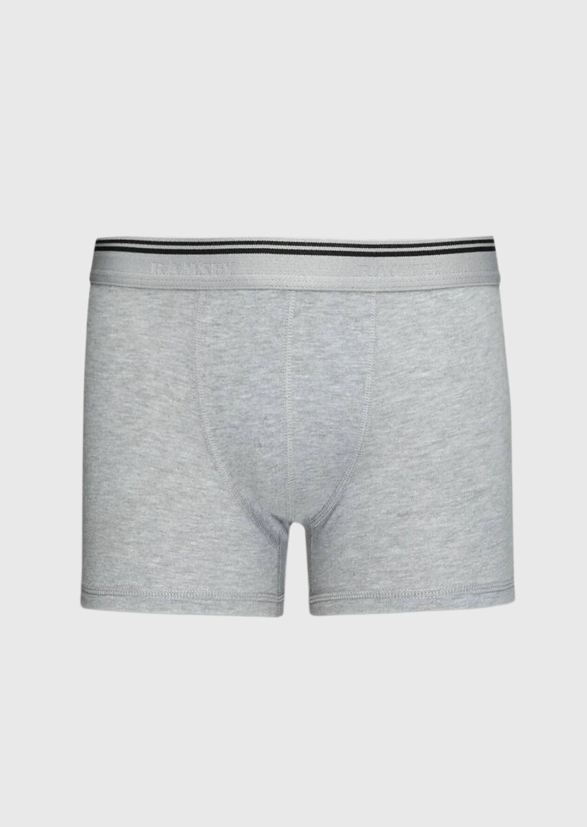Grey Boxer - 1
