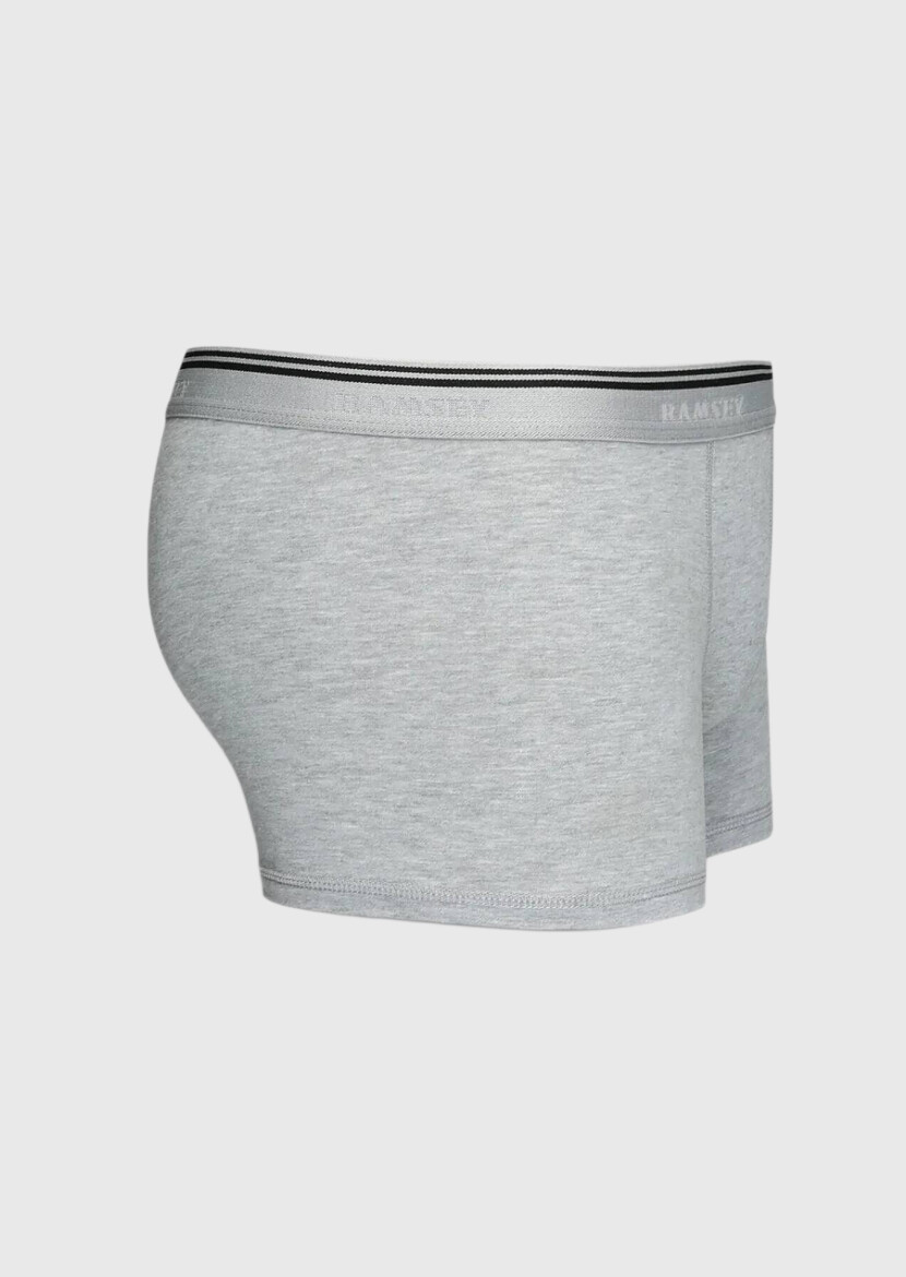 Grey Boxer - RAMSEY