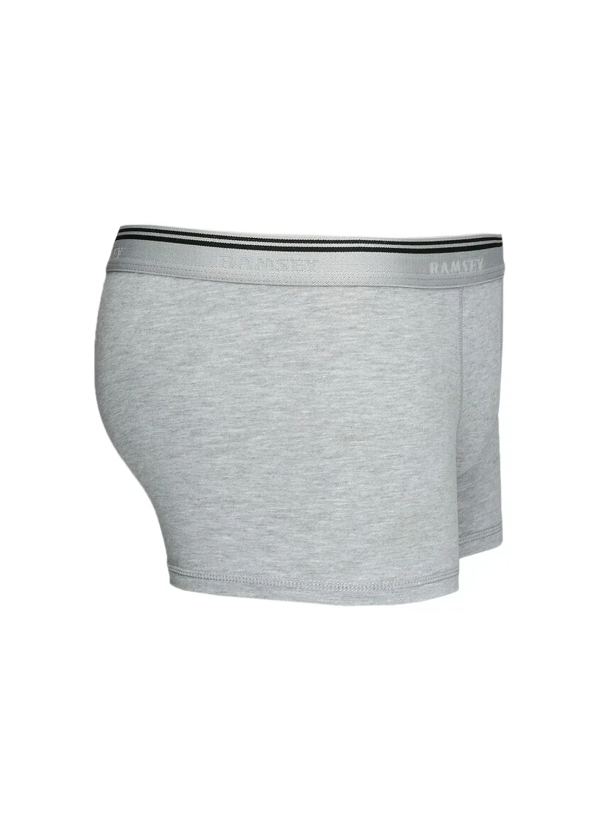 Grey Boxer 