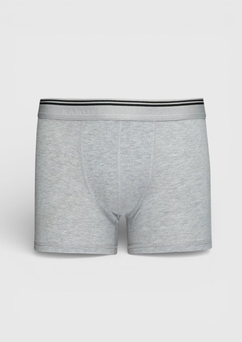 Grey Boxer - 1