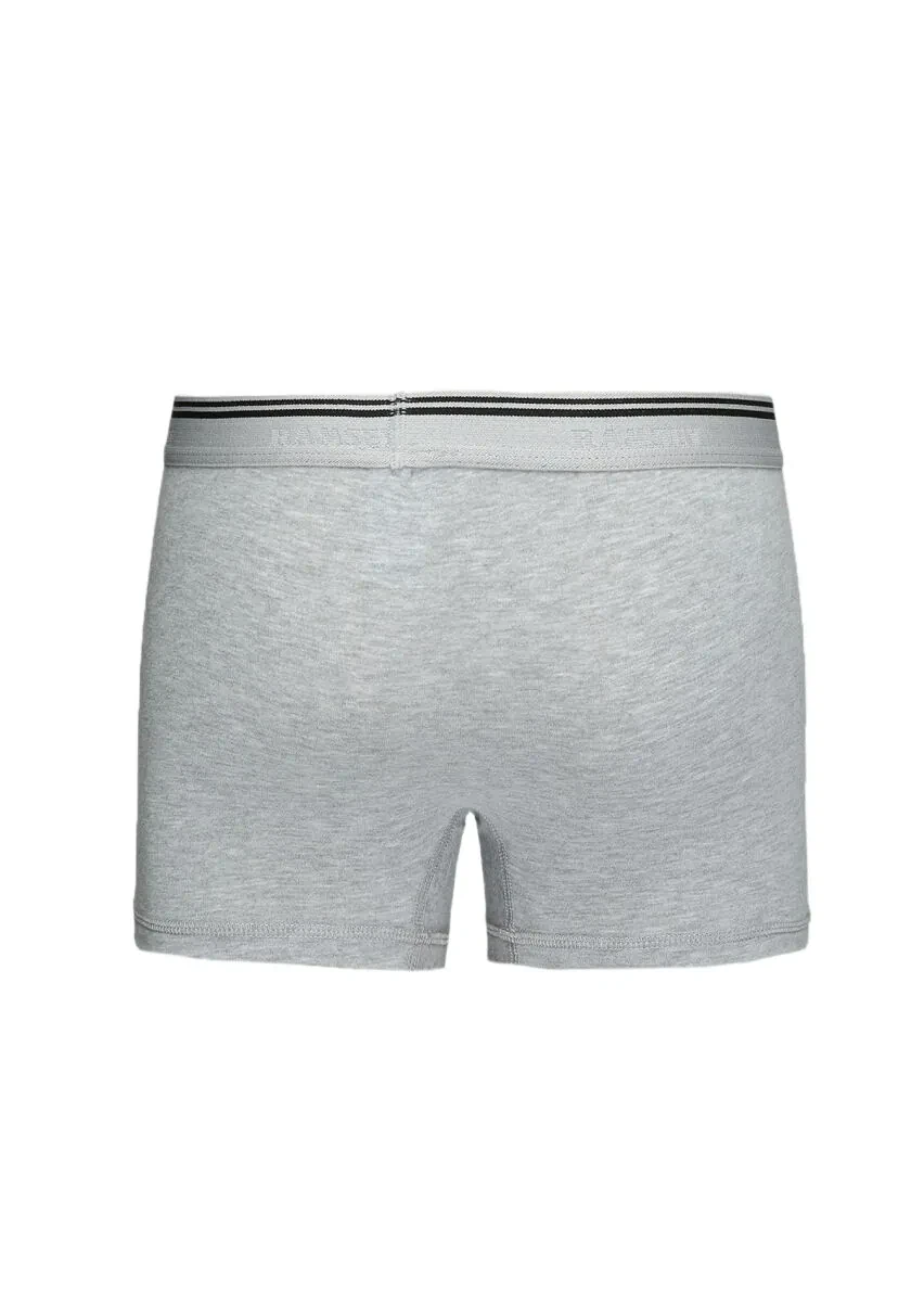 Grey Boxer - 3