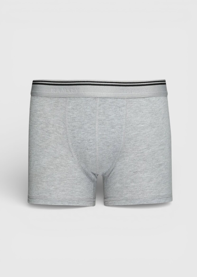 Grey Boxer - RAMSEY