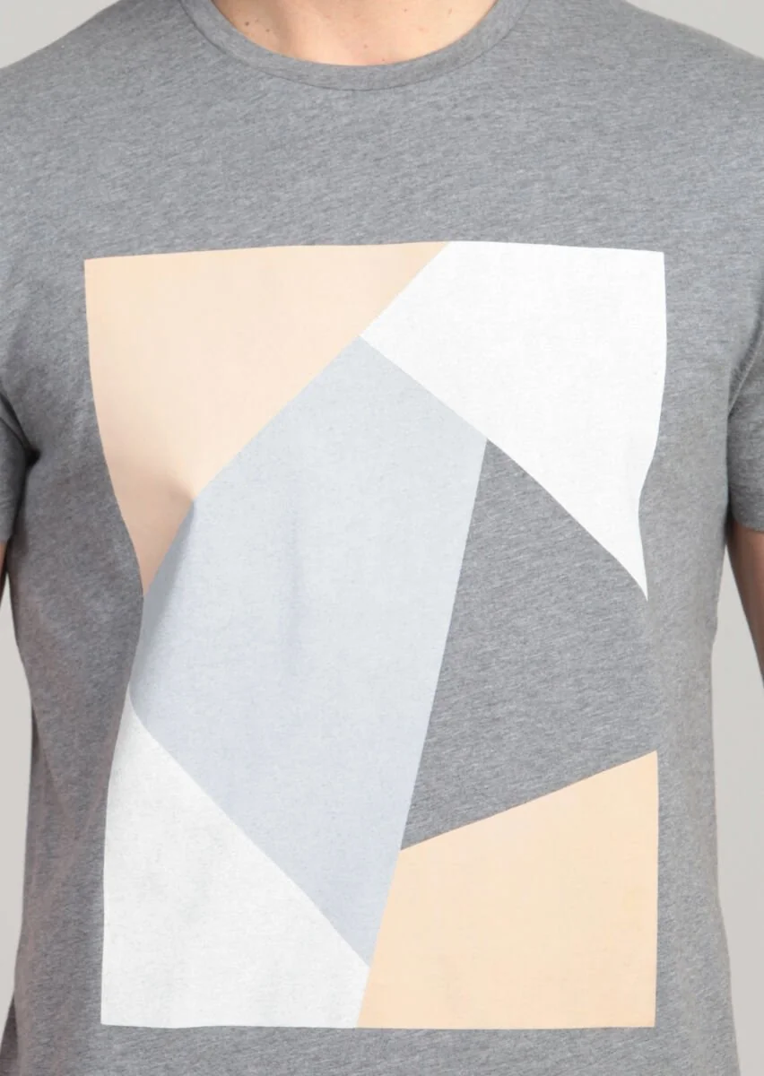 Gri Baskılı %100 Pamuk T-Shirt - 4