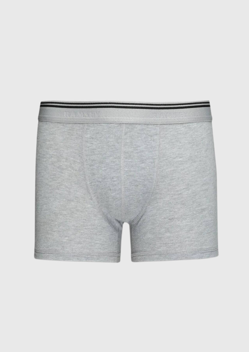Gri Boxer - RAMSEY