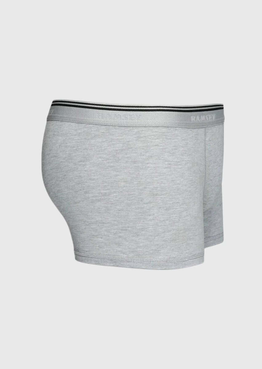 Gri Boxer - 3