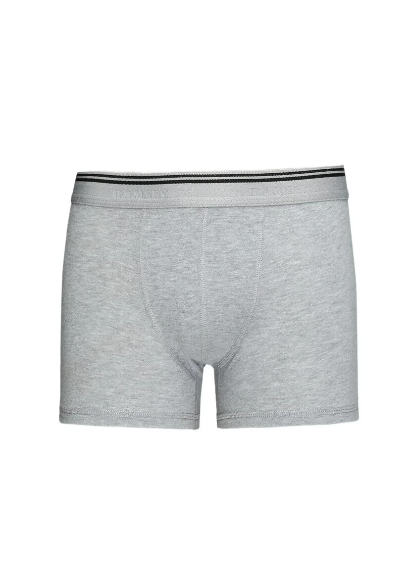 Gri Boxer - 1