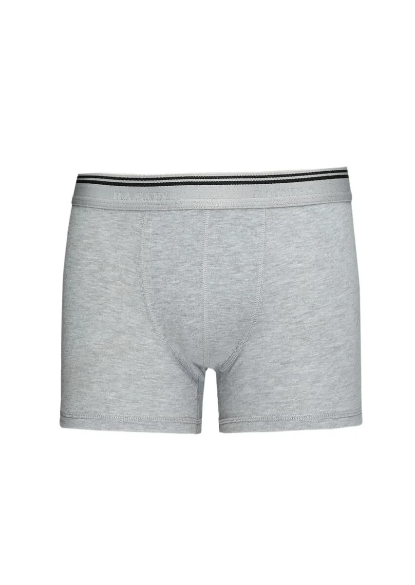 Gri Boxer - 1