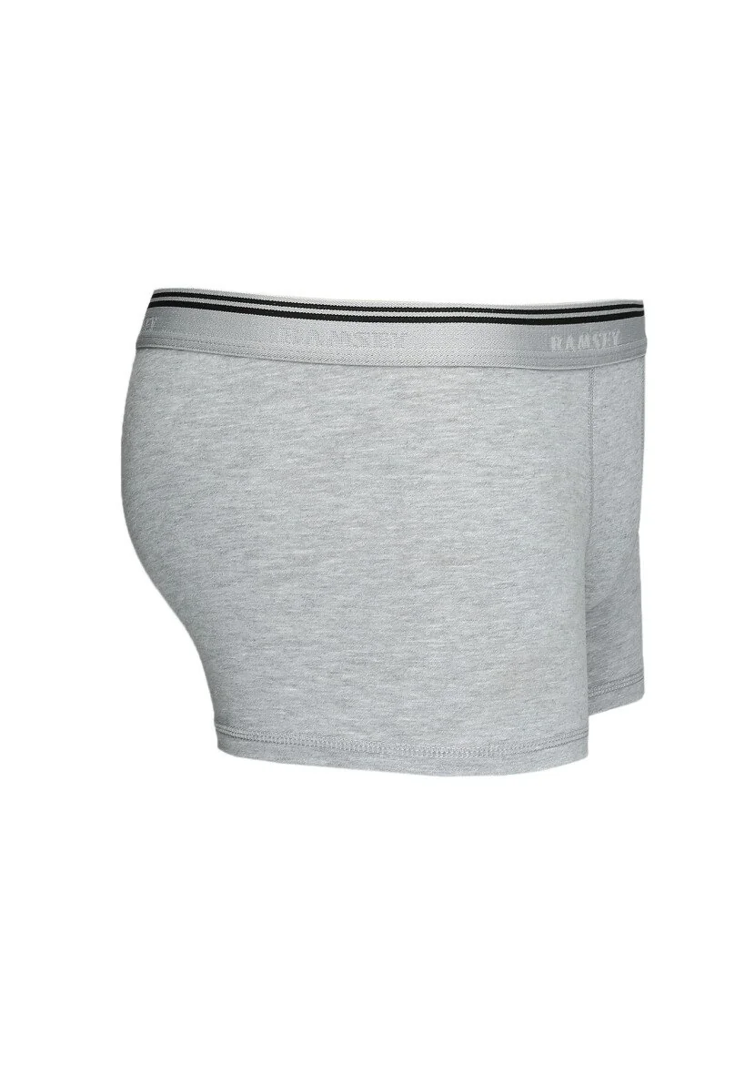 Gri Boxer 