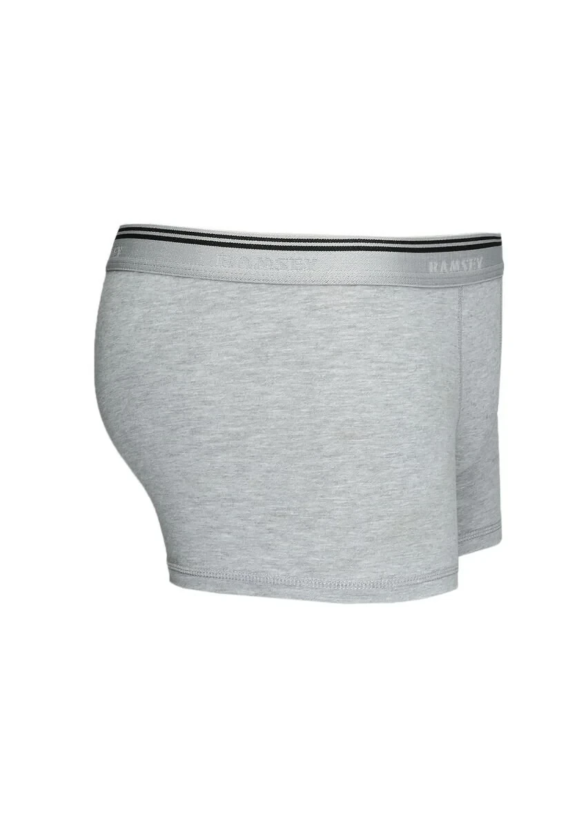 Gri Boxer - 2