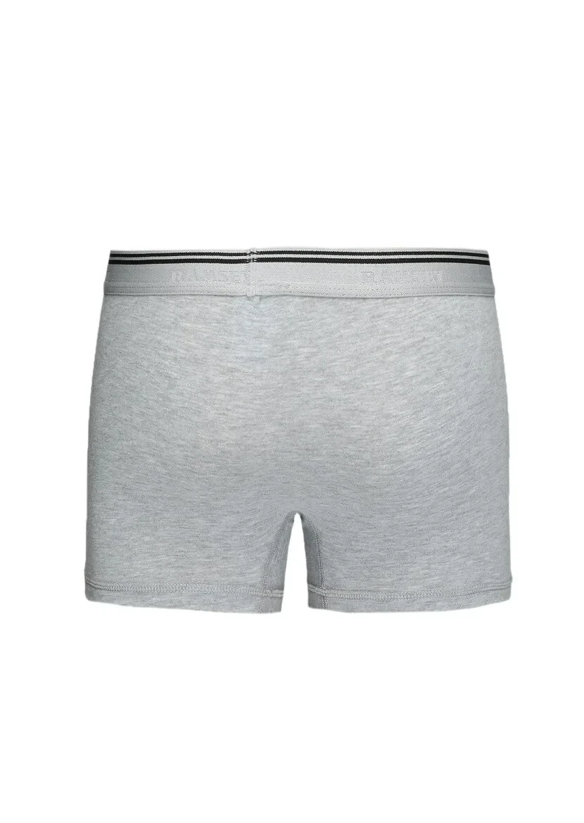 Gri Boxer - 3