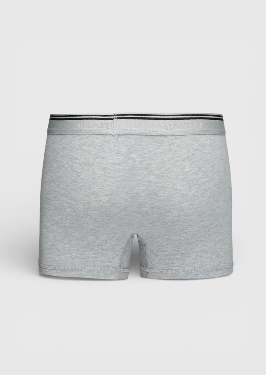 Gri Boxer - 3