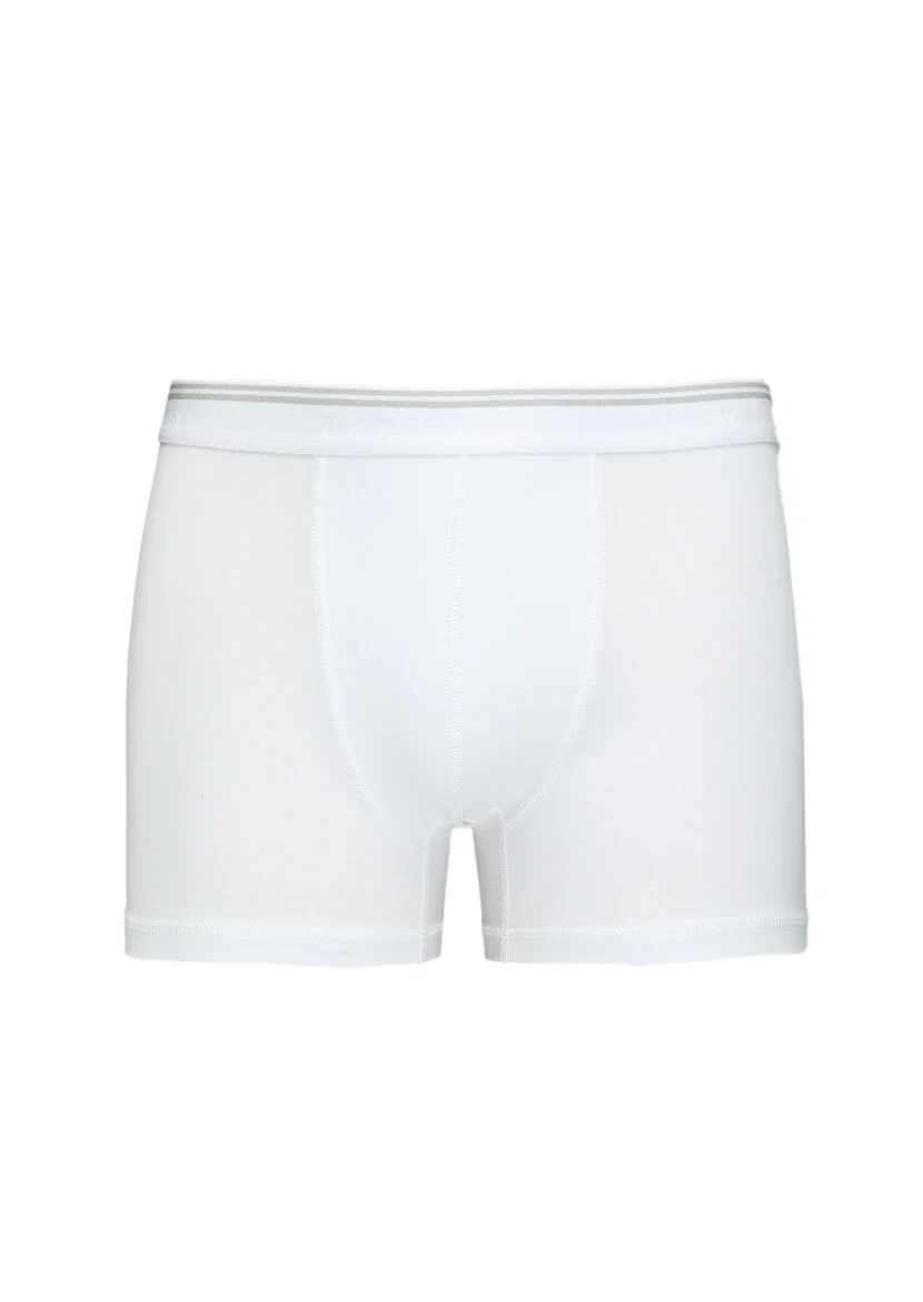 White Boxer - 1