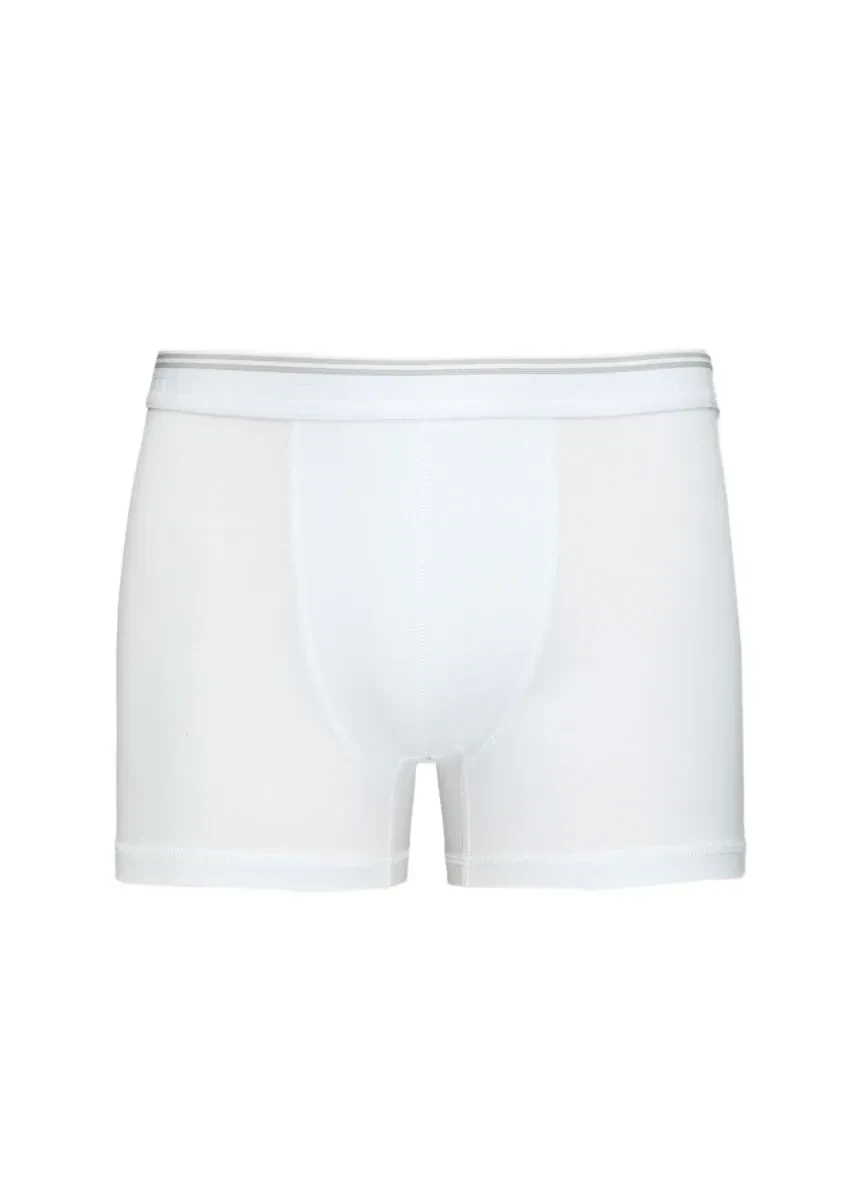 White Boxer - 1