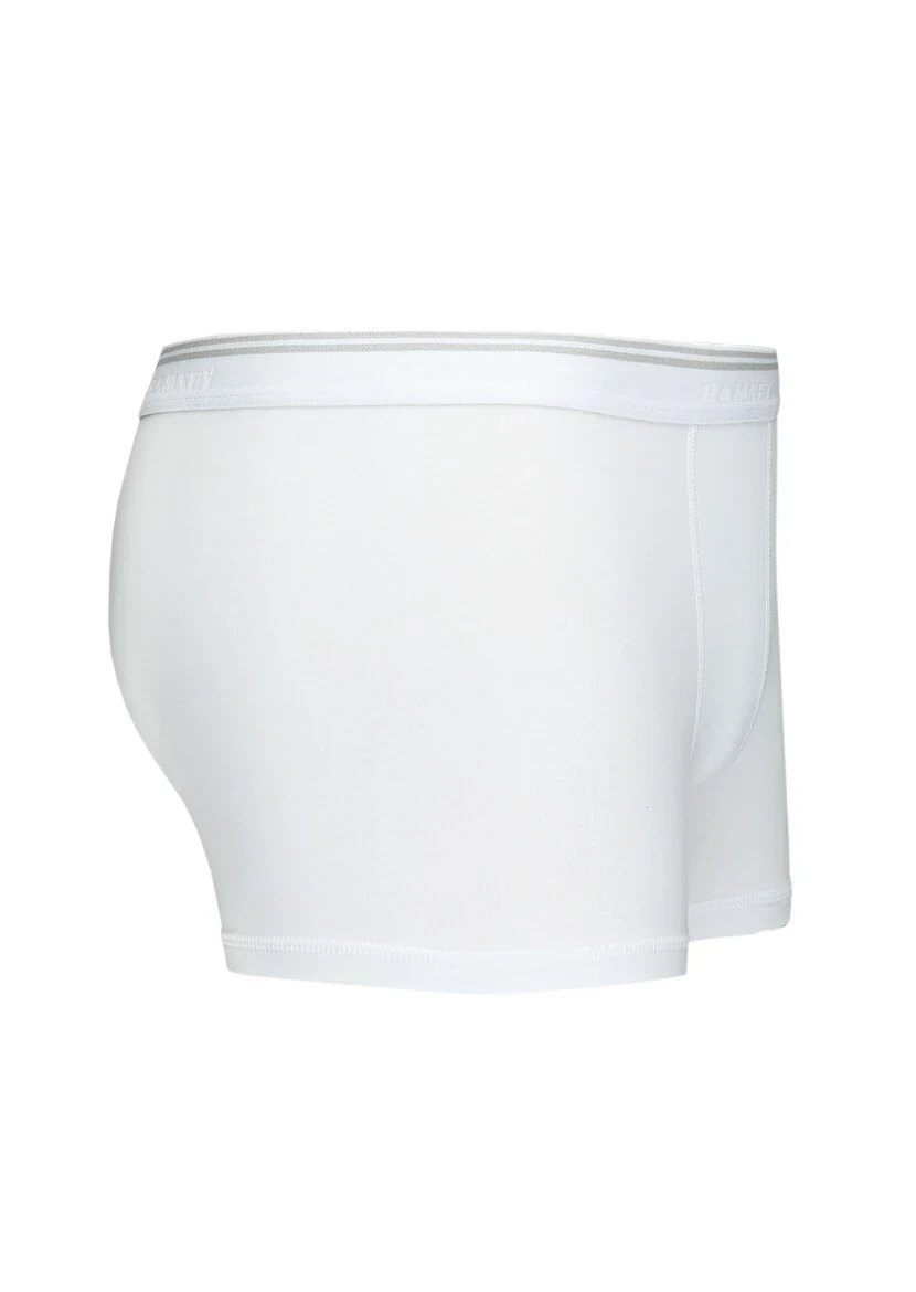 White Boxer 
