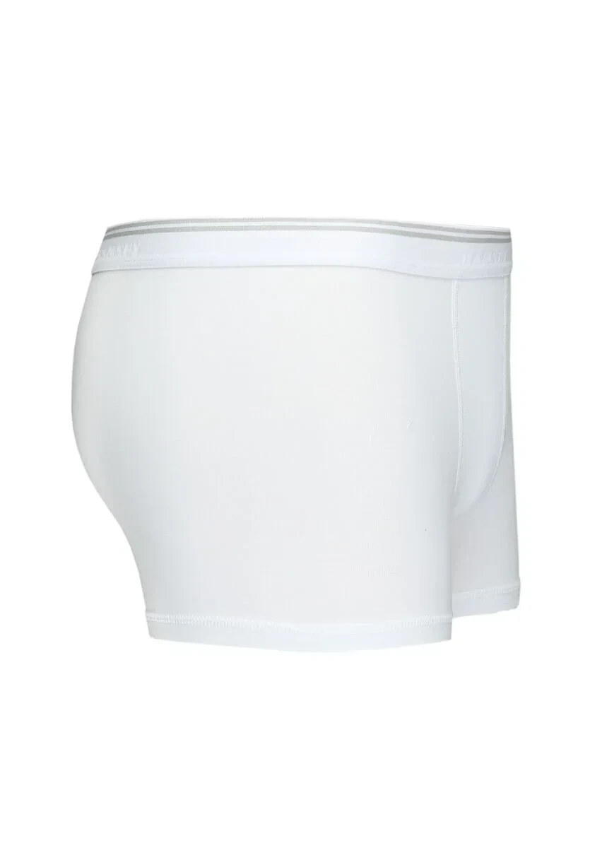 White Boxer - 2