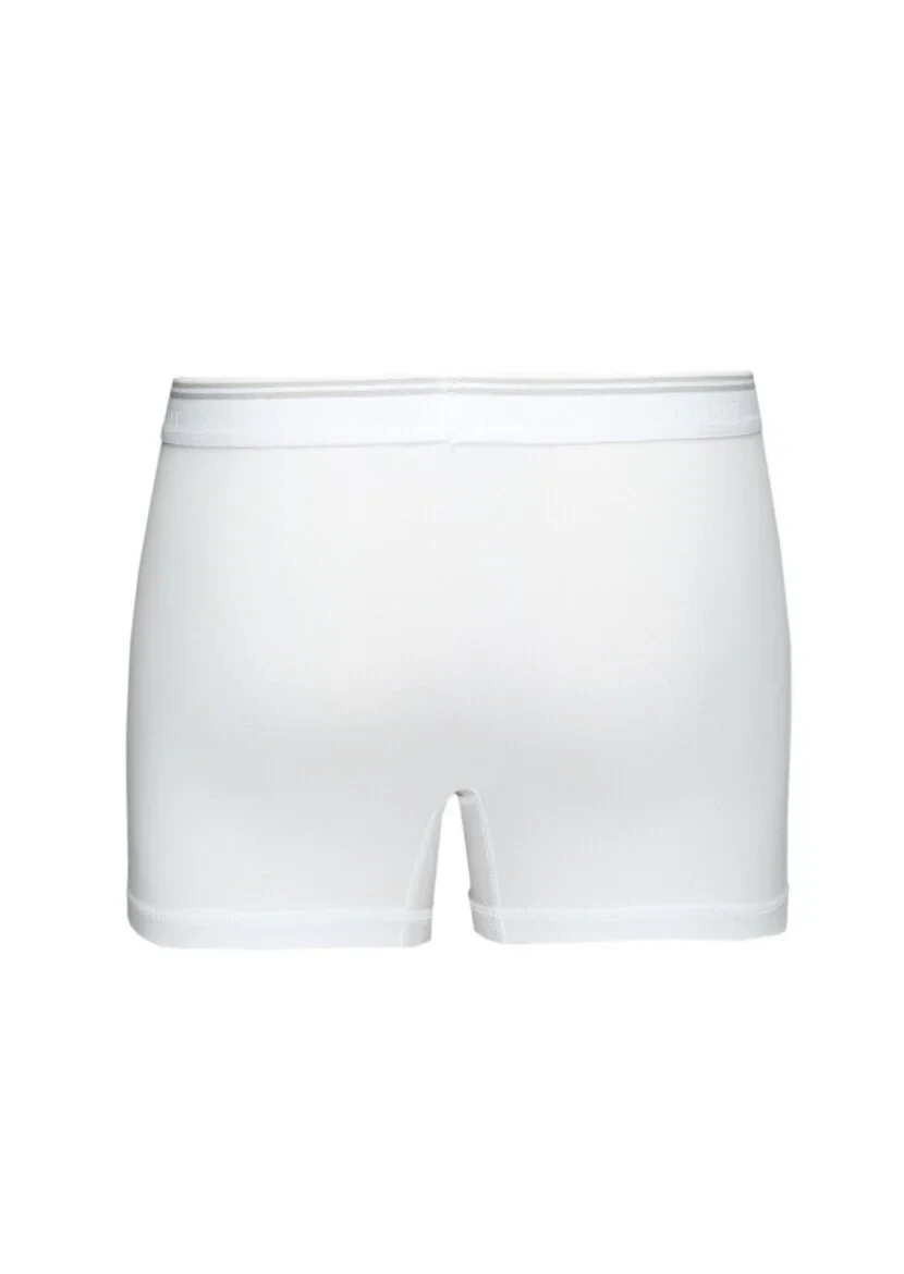 White Boxer - 3