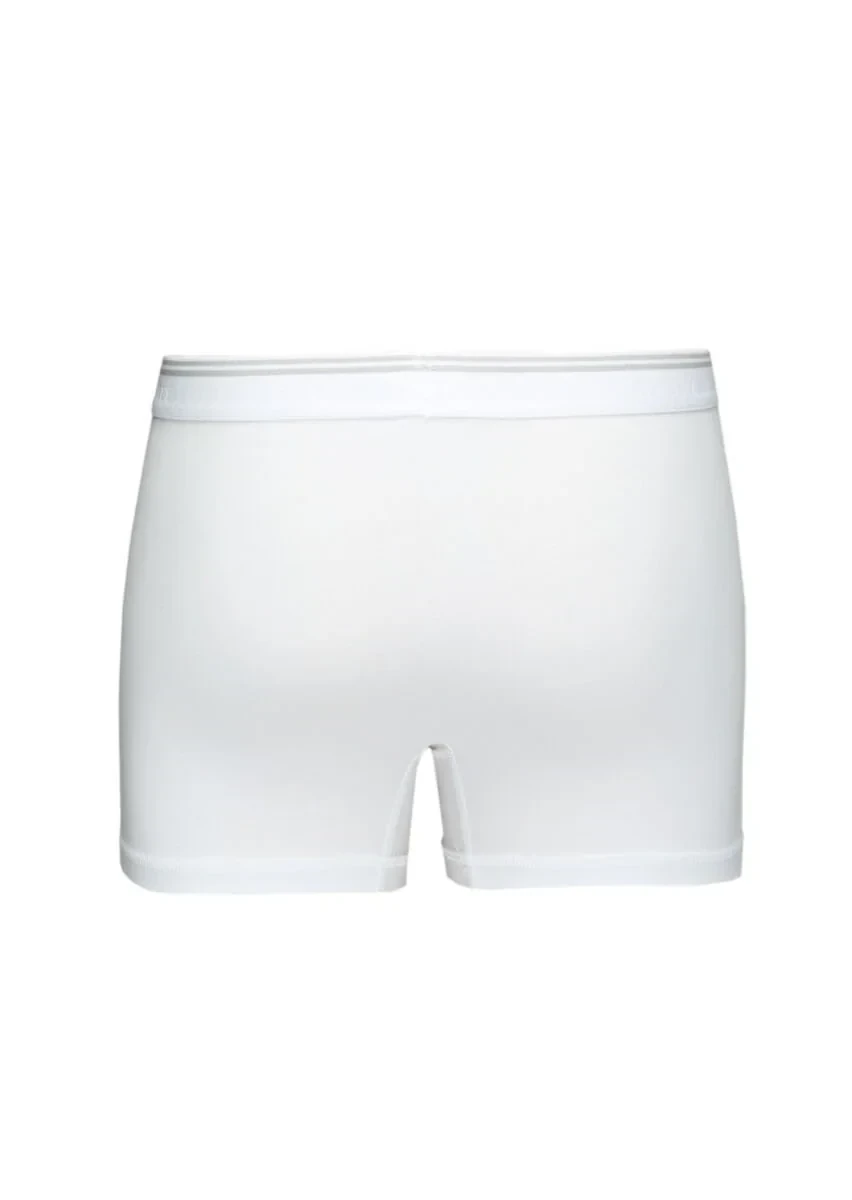 White Boxer - 3