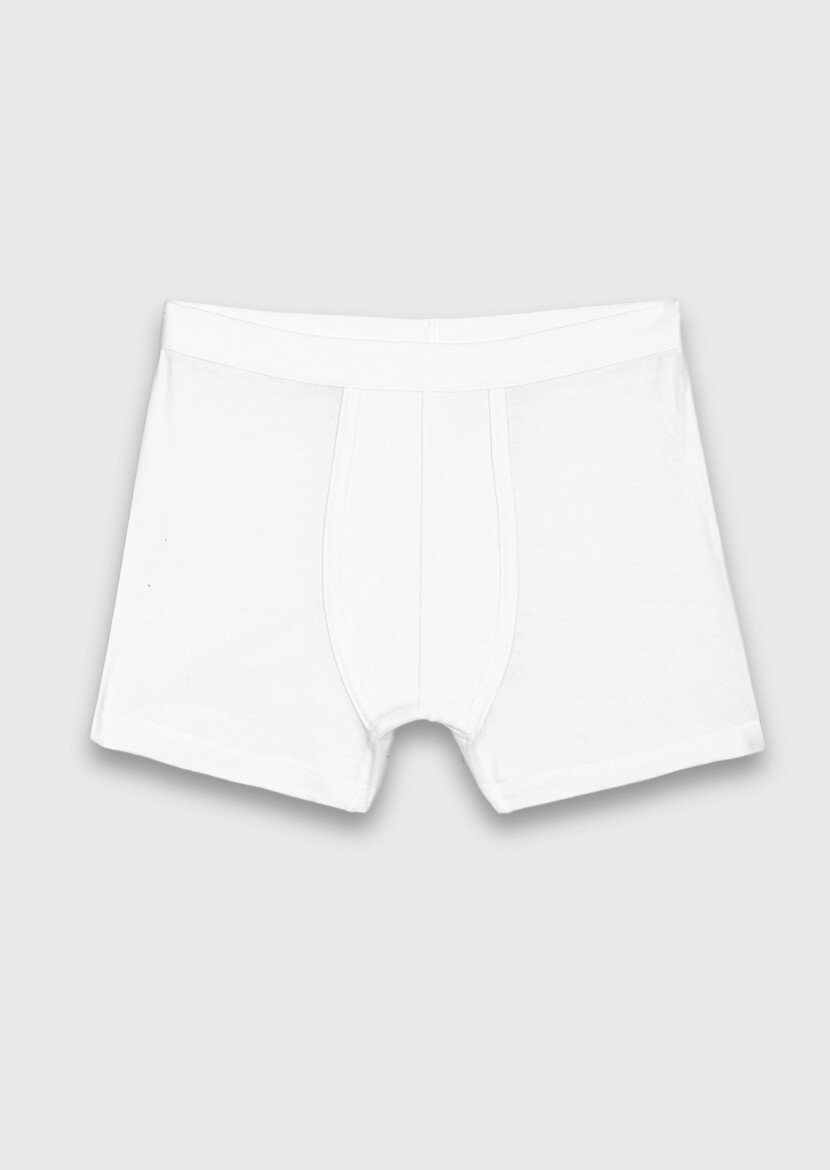 White Boxer - RAMSEY